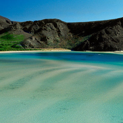 Crocs Tour Australia