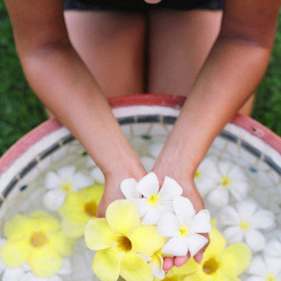 De Palm Island Trip in Aruba