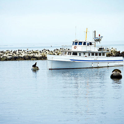 Discover Cancun Tour